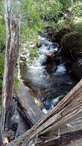 Imagen 18 de 28 de Grupo Patagonia Vende 4.2 Hectáreas (todos Los Servicios Instalados Y Costa De Arroyo). Sobre Camino A Valle Escondido -club De Campo-, San Martín De Los Andes, Patagonia Argentina