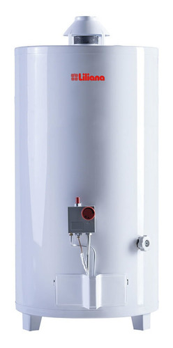 Termotanque Liliana 80 Lts Multigas De Pie Conexión Superior