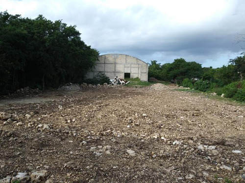 Imagen 7 de 12 de Terreno En Renta Zona Industrial Smza. 104