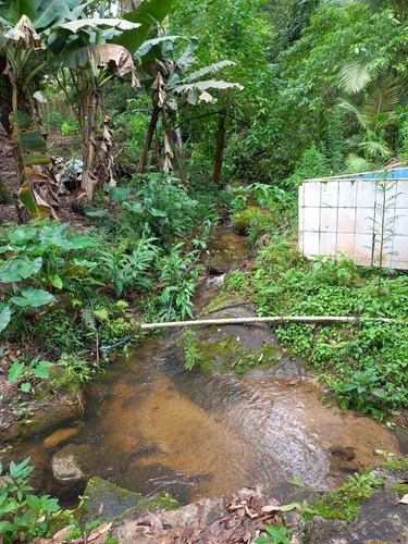 Imagem 6 de 14 de Sítio Completo Com Casa E Bar Lagos Com Peixe