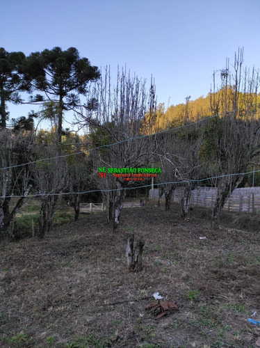 Imagem 5 de 12 de Chácara Em Marmelópolis- Mg - 2085