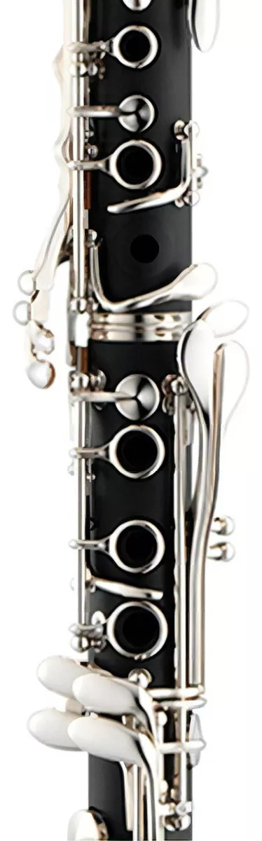 Segunda imagen para búsqueda de clarinete stagg