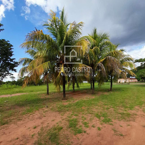 Imagen 16 de 18 de Pedro Castro Inmobiliaria Vende Finca Ubicada En San Jacinto, Ciudad Guayana #crecimientoagricola #agricultura #casacampo #descanso #familia