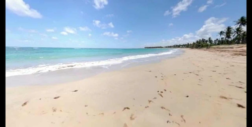 Terreno En Bavaro Punta Cana, La Vacama De Nisibon, Terreno Con Vista Al Mar De 277,672 Metros, 240 Metros Lineal De Playa, Precio Economico