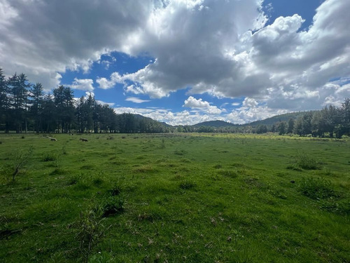 Venta Terreno Tenancingo Edo. De Mex.  Multiple Uso De Suelo