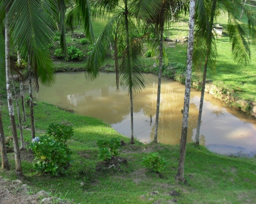 Imagem 1 de 22 de Chácara À Venda Em Juquitiba - 409 - 32982628