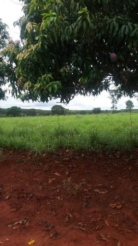Fazenda Com 178 Hectares Rica Em Agua Em Felixlandia Mg - 36425