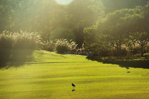 Imagem 10 de 14 de Terreno Com Vista Para O Campo De Golf Do Vila Da Mata - Vila Darcy Penteado, (são Roque) - Te8992
