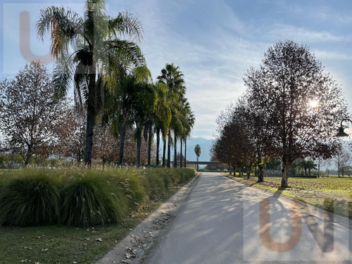 Terreno En Yerba Buena