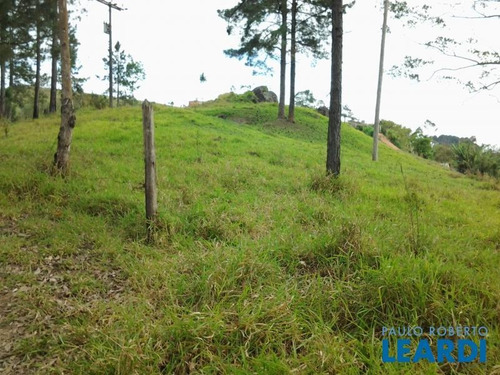 Area - Reserva - Sp - 373456