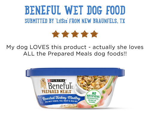 Purina Beneful Prepared Meals Mezcla De Pavo Asado 283g