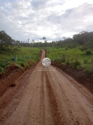 Imagem 2 de 9 de Venda Sítio Machadinho D'oeste Em Rondônia - Sia348
