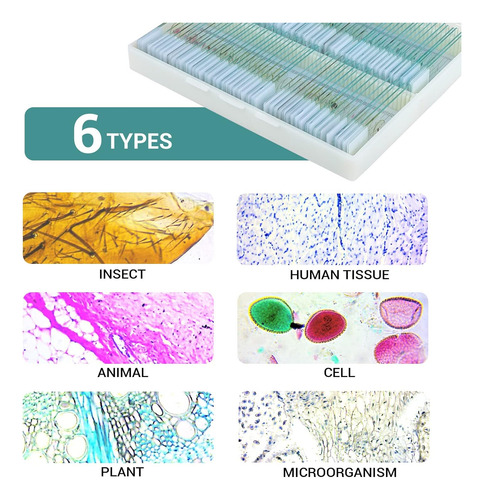 100 Uds Portaobjetos De Microscopio Con Muestras, Portaobjet