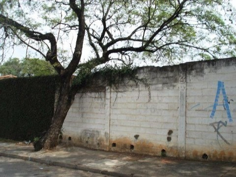 Imagem 5 de 5 de Terreno À Venda No Jardim Europa - Sorocaba/sp - Tr03095 - 4459072