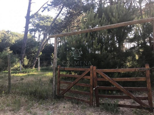 Imagen 5 de 5 de Terreno En Rincon Del Indio A Pocas Cuadra De La Playa Brava - Punta Del Este Rincón Del Indio