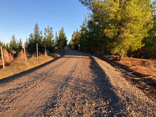Sitio En Venta En Florida