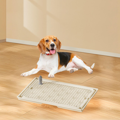 New Inodoro For Perros Orinal For Mascotas Con Poste Caqui