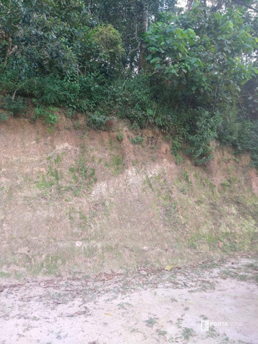 Terreno À Venda, 960 M² Por R$ 265.000,00 - Jardim Dos Ypês - Embu Das Artes/sp - Te0275