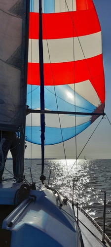 Imagen 4 de 20 de Velero Silver 25 Con Motor Honda 4 Tiempos 15 Hp