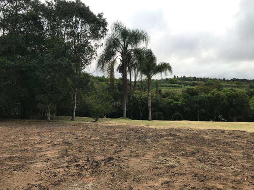 Imagem 4 de 17 de Chacaras De 2.000m² Cada, Á 10 M Do Chopin, Plana. - V147