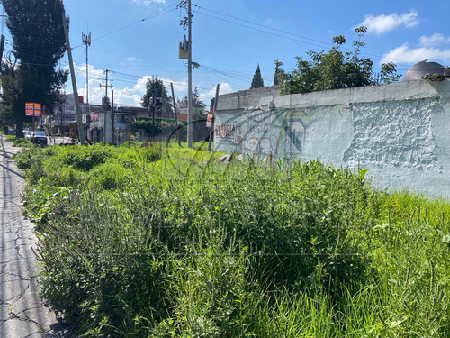 Terrenos En Renta En Buenavista