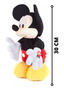 Tercera imagen para búsqueda de mickey mouse