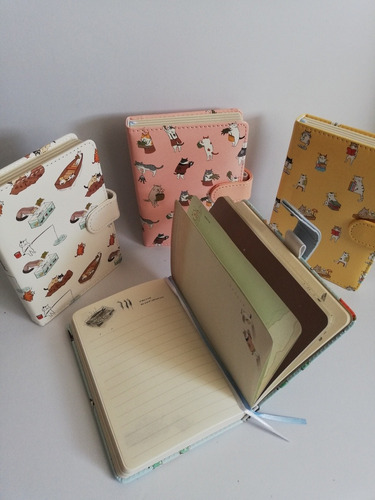 Agenda Planeadora Gato