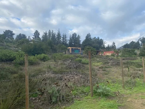 Sitio En Los Pinos