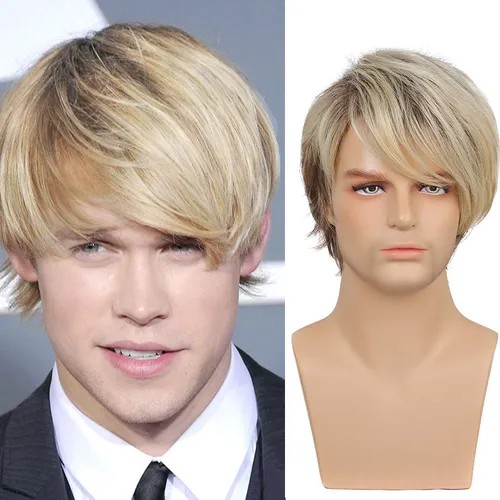 Sylhair Men Wigs Short Silver Gray Wig Male Guy Short