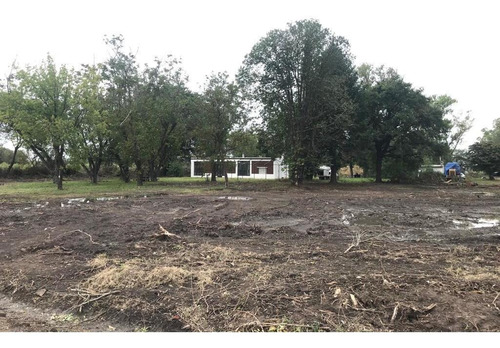 Imagen 18 de 30 de Terreno - Ibarlucea