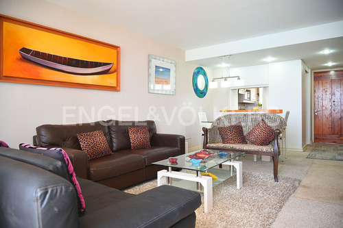 Arriendo Amoblado Año Corrido
