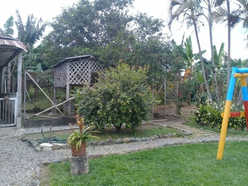 Imagen 14 de 27 de Se Vende Finca De Cuadra Y Media, Vía Montenegro Quindio