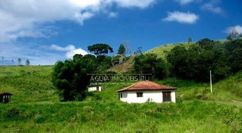 Imagem 22 de 25 de Para Você Ficar Em Contato Com A Natureza! Sítio Rural À Venda, Jardim Seabra, Amparo. - Si0004