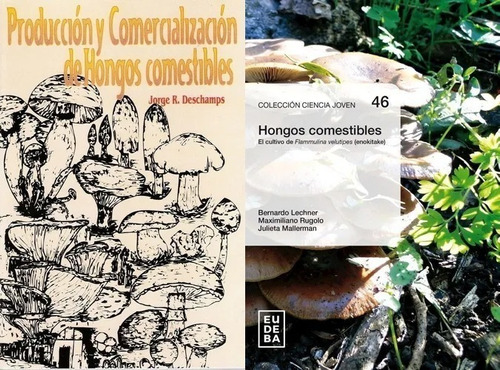 Cultivo, Producción Y Comercialización Hongos Comestibles