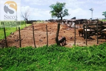 Imagen 9 de 14 de Campo Agrícola Ganadero En Venta En #pellegrini