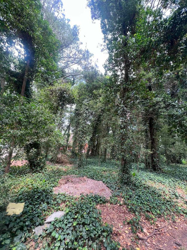 Imagen 9 de 11 de Vendo Lote 750 Mts Bosque P. Ramos Parquizado U$s 55.000.-