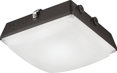 Lithonia Lighting Cny Led P2 40k Mvolt Ddb M2 Canopy Light 4