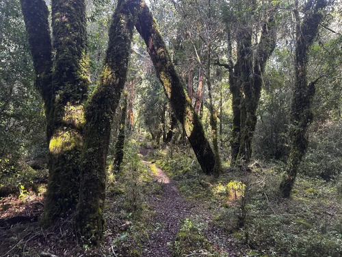 Tu Refugio Privado En El Corazón De La Patagonia