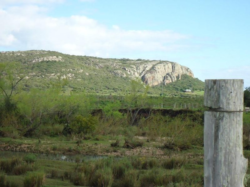 Campo En Venta En Lavalleja, 32 Hectáreas.