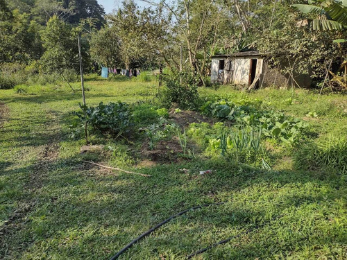 Imagem 8 de 14 de Sitio Medindo 12 Alqueires Com Cachoeira Particular