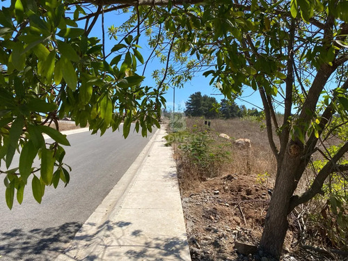 Bosques De Monte Sagrado Sitio Llegar Y Construir