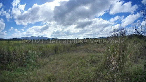 Imagen 2 de 30 de &&& Finca En Venta En Nirgua Yaracuy Rah 23-17575 // Invierta Seguro Con Rentahouse//