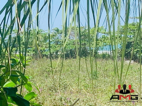 Imagem 15 de 30 de Casa Com 5 Dormitórios À Venda, 445 M² Por R$ 5.500.000,00 - Hanga Roa - Bertioga/sp - Ca0911