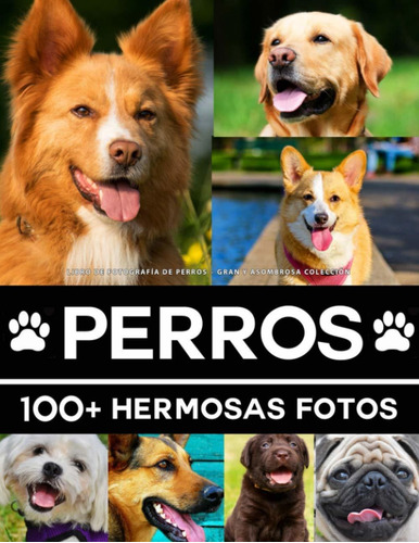 Libro De Fotografía   De Perros - Gran Y Asombrosa C Lrf