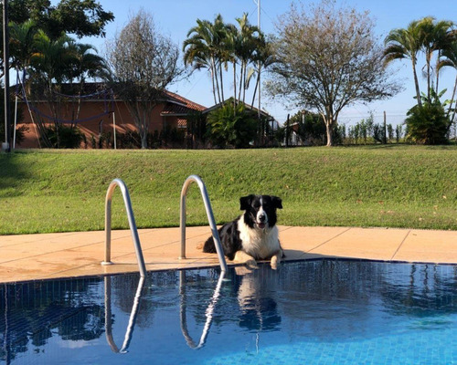 Imagem 5 de 12 de Chácara Para Locação No Jardim Josane - Sorocaba/sp - Ch00822 - 70832897