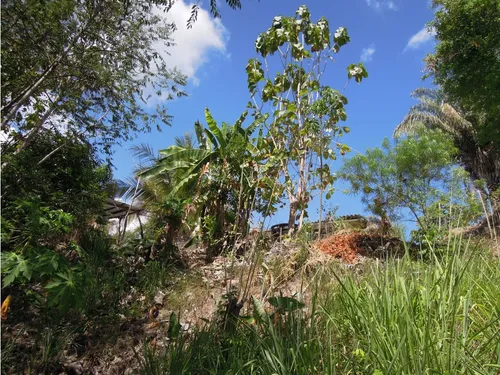 Venta Lotes Con O Sin Casa, Agua, Luz, Klm 15 Via Minca