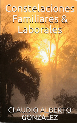 Constelaciones Familiares Y Laborales. Claudio A. González