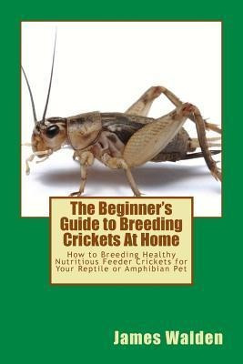 The Beginner's Guide To Breeding Crickets At Home - James...