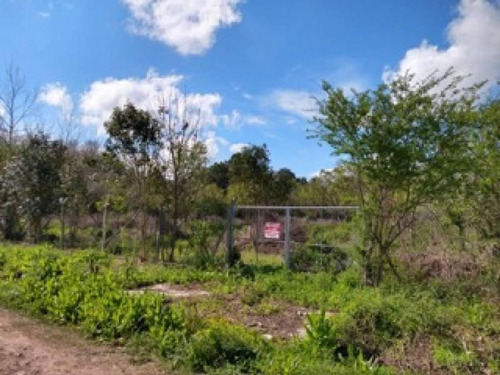 Lote, Pilar, Nueva Zelanda De 5200m2, Casi Todo Canje