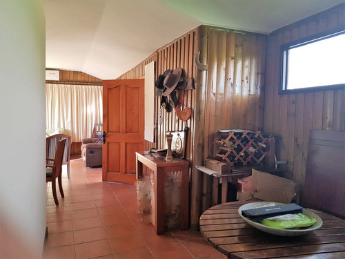 Venta De Terreno En La Cruz  35.000 M2., Plantado Con Palto
